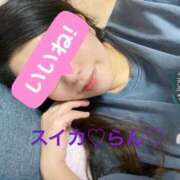 ヒメ日記 2024/12/26 18:07 投稿 らん スイカ