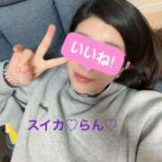 ヒメ日記 2024/12/30 22:30 投稿 らん スイカ