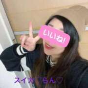 ヒメ日記 2025/01/02 18:43 投稿 らん スイカ