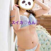 ヒメ日記 2025/02/03 17:54 投稿 らん スイカ