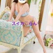 ヒメ日記 2025/02/04 06:56 投稿 らん スイカ