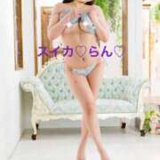 ヒメ日記 2025/02/21 06:52 投稿 らん スイカ