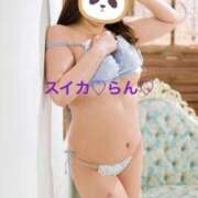 ヒメ日記 2025/02/22 06:55 投稿 らん スイカ