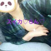 ヒメ日記 2025/03/17 18:35 投稿 らん スイカ