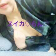 ヒメ日記 2025/03/21 06:48 投稿 らん スイカ