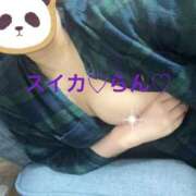 ヒメ日記 2025/04/06 10:17 投稿 らん スイカ