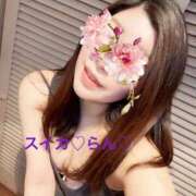 ヒメ日記 2025/04/10 16:21 投稿 らん スイカ