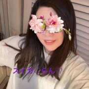 ヒメ日記 2025/04/18 06:51 投稿 らん スイカ