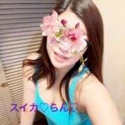 ヒメ日記 2025/05/01 18:13 投稿 らん スイカ