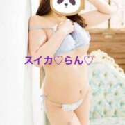 ヒメ日記 2025/05/07 08:40 投稿 らん スイカ