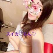 ヒメ日記 2025/05/16 06:44 投稿 らん スイカ