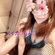 ヒメ日記 2025/05/22 12:05 投稿 らん スイカ