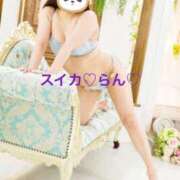 ヒメ日記 2025/05/30 06:43 投稿 らん スイカ