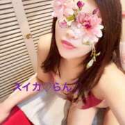 ヒメ日記 2025/06/02 17:17 投稿 らん スイカ