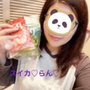 ヒメ日記 2025/06/10 18:26 投稿 らん スイカ