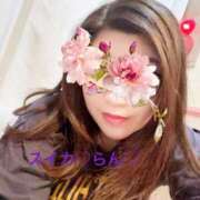 ヒメ日記 2025/06/13 14:46 投稿 らん スイカ