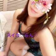 ヒメ日記 2025/06/25 06:50 投稿 らん スイカ