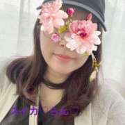 ヒメ日記 2025/06/27 14:28 投稿 らん スイカ