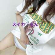 ヒメ日記 2025/07/08 17:52 投稿 らん スイカ