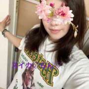 ヒメ日記 2025/07/12 19:47 投稿 らん スイカ