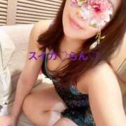 ヒメ日記 2025/07/20 07:04 投稿 らん スイカ