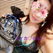 ヒメ日記 2025/07/21 06:57 投稿 らん スイカ