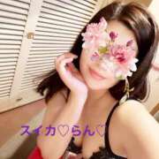 ヒメ日記 2025/07/28 13:52 投稿 らん スイカ