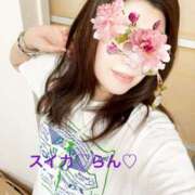 ヒメ日記 2025/08/08 06:44 投稿 らん スイカ