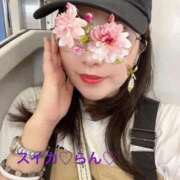 ヒメ日記 2025/08/18 13:23 投稿 らん スイカ