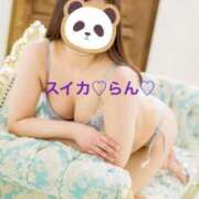 ヒメ日記 2025/08/21 18:01 投稿 らん スイカ