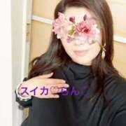 ヒメ日記 2025/09/23 17:01 投稿 らん スイカ