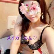 ヒメ日記 2025/09/27 06:50 投稿 らん スイカ