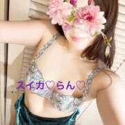 ヒメ日記 2025/09/29 06:48 投稿 らん スイカ