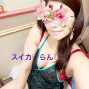 ヒメ日記 2025/11/09 06:47 投稿 らん スイカ