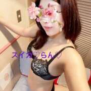 ヒメ日記 2025/11/11 12:49 投稿 らん スイカ