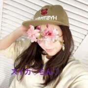 ヒメ日記 2025/11/12 06:41 投稿 らん スイカ