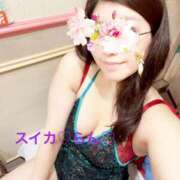 ヒメ日記 2025/11/12 13:45 投稿 らん スイカ