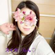 ヒメ日記 2025/11/13 18:00 投稿 らん スイカ