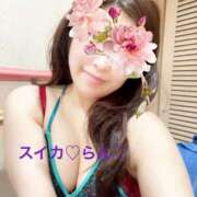 ヒメ日記 2025/11/21 06:46 投稿 らん スイカ