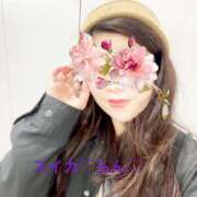 ヒメ日記 2025/11/22 06:53 投稿 らん スイカ