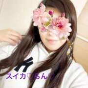 らん おはよん スイカ