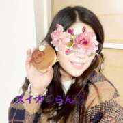 らん お礼 スイカ