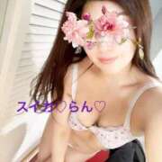 ヒメ日記 2025/12/12 17:49 投稿 らん スイカ