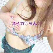 ヒメ日記 2025/12/19 06:43 投稿 らん スイカ