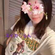 ヒメ日記 2025/12/22 06:42 投稿 らん スイカ