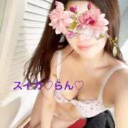 ヒメ日記 2026/01/11 06:46 投稿 らん スイカ