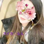 らん おはよん スイカ