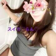 ヒメ日記 2026/01/14 06:39 投稿 らん スイカ