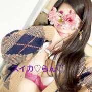 ヒメ日記 2026/01/31 07:35 投稿 らん スイカ