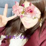 ヒメ日記 2026/02/20 17:59 投稿 らん スイカ